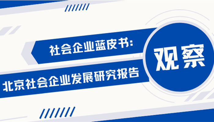 社会企业蓝皮书：北京社会企业发展研究报告（下）