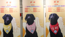 中国首批专业孤独症辅助犬即将服役，将被赠予3个家庭